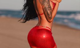 Experience Unforgettable Moments with Daisy Wild Today